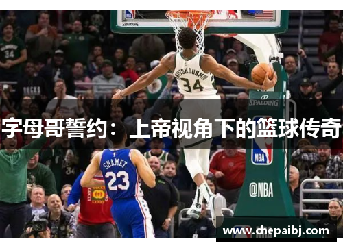 字母哥誓约：上帝视角下的篮球传奇